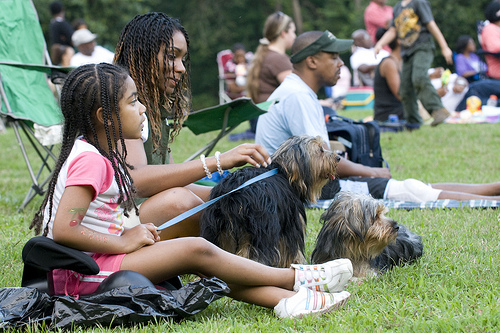 Spend the Summer Enjoying an Outdoor Concert, Performance or Movie