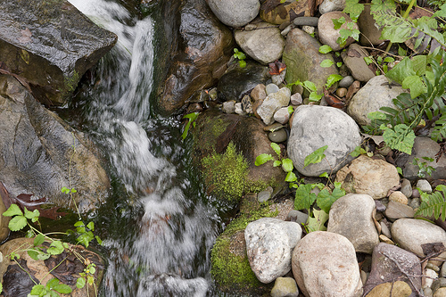 Take Part In A High-Tech Scavenger Hunt - Geocaching!