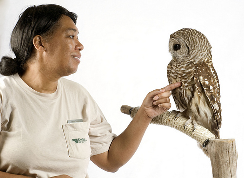 Are You An Animal Lover? Check Out Exciting Programs All About Them!