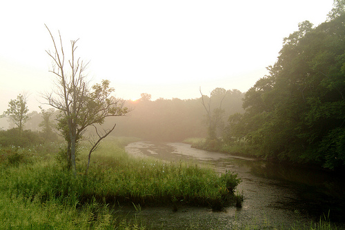 A Passion for Parks: Diana Downey